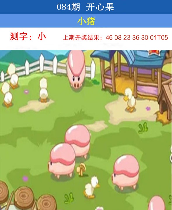 084期开心果[图]