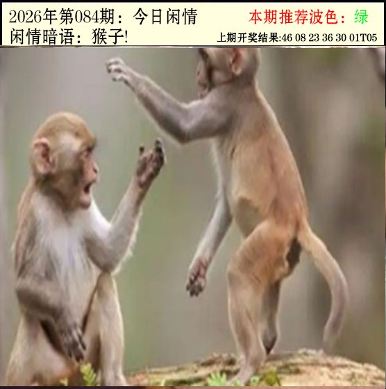 084期今日闲情2[图]