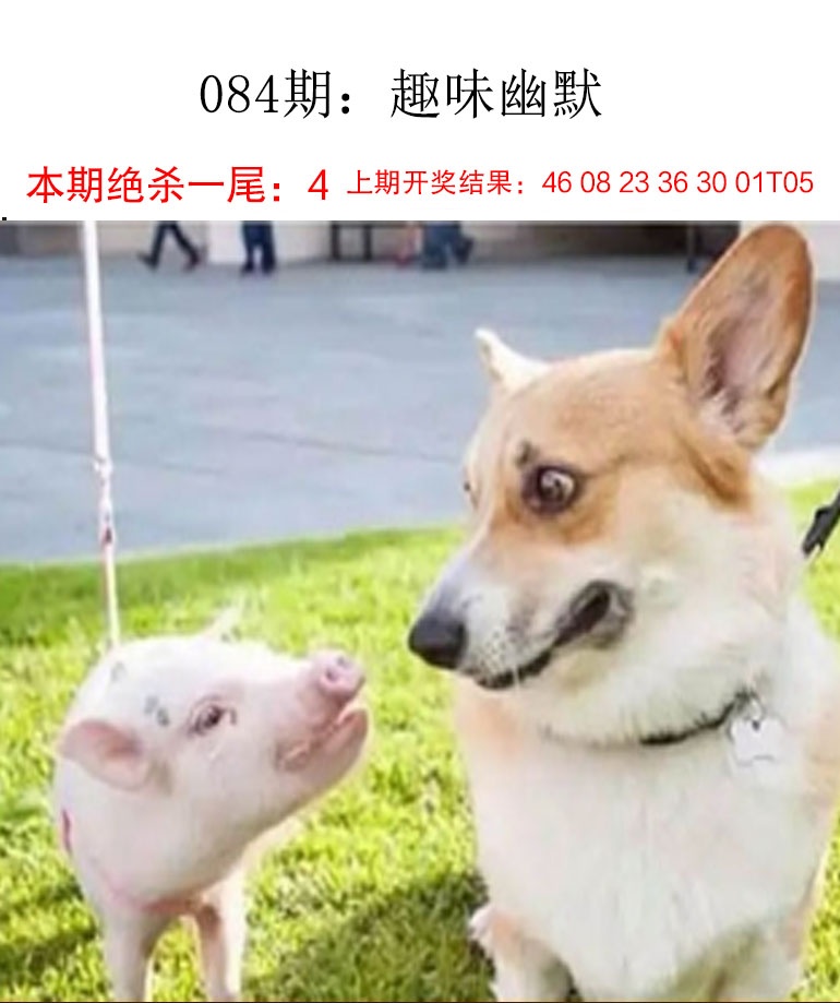 084期趣味幽默[图]