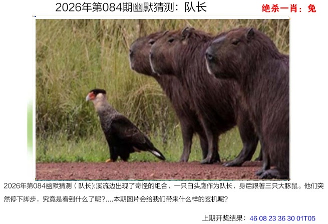 084期幽默猜测[图]